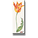 Koelkastmagneet, Tulp met insecten