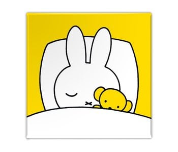 Fridge magnet, Miffy is sleeping