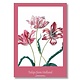 Affiche, 50x70, Merian, Trois tulipes