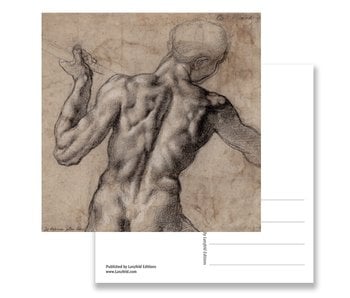 Postkarte, nackter Mann, von hinten gesehen, Michelangeloh
