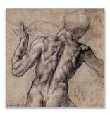 Ansichtkaart, Naakte man, op de rug gezien, Michelangelo