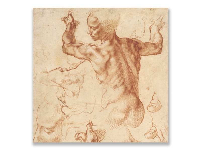 Ansichtkaart, Studies voor de Libische sybille, Michelangelo