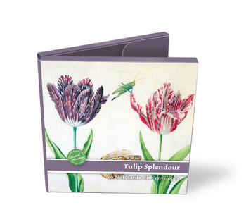 Carpeta de tarjetas, Tulipanes Splendour