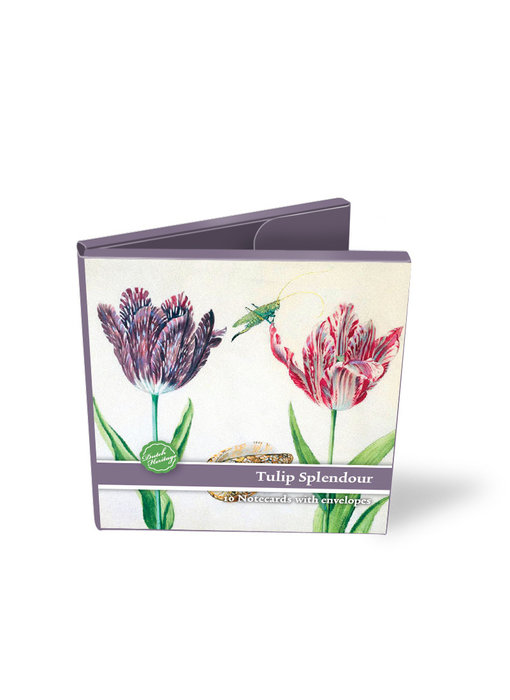 Carpeta de tarjetas, Tulipanes Splendour