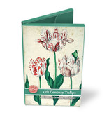 Porte-cartes, petites tulipes du XVIIe siècle