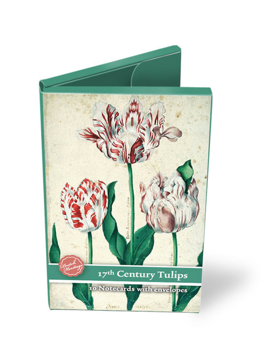Carpeta de tarjetas, tulipanes pequeños del siglo XVII