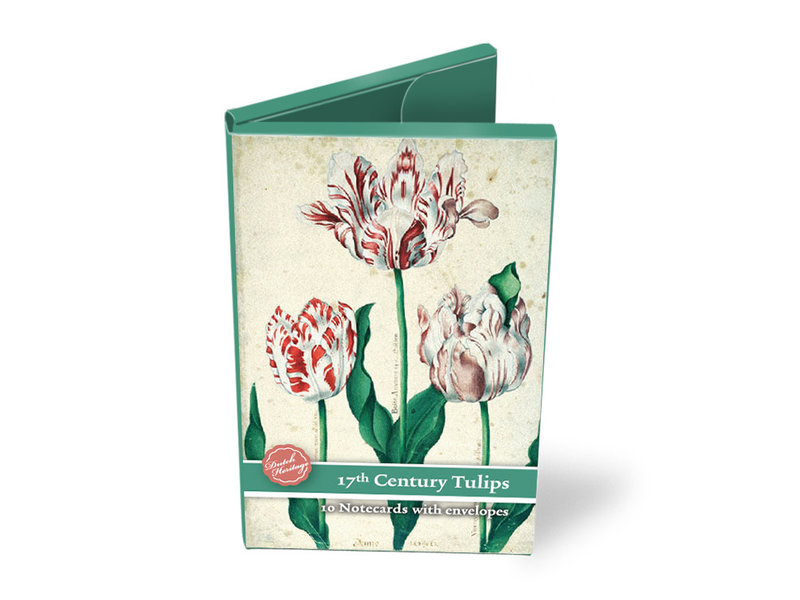 Carpeta de tarjetas, tulipanes pequeños del siglo XVII