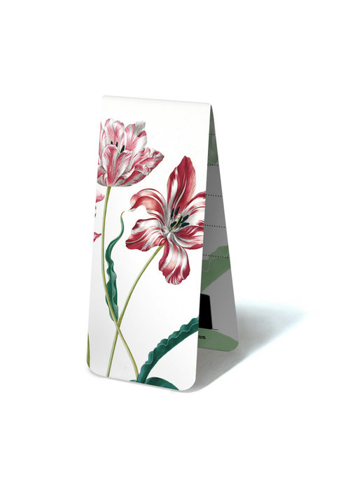 Magnetic Bookmark, Three Tulips, Maria Sibylla Merian