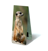 Marque-page magnétique, suricate