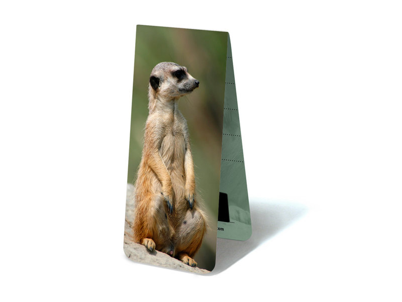 Marque-page magnétique, suricate