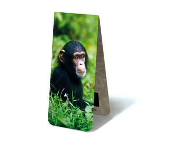 Marque-page magnétique, bébé chimpanzé