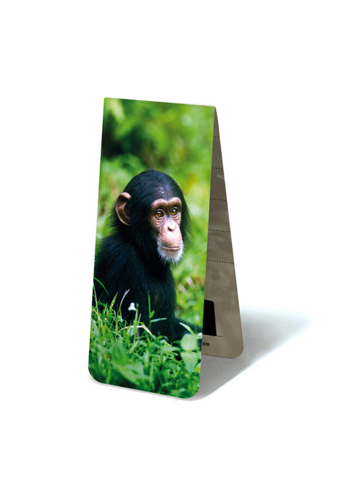 Marque-page magnétique, bébé chimpanzé