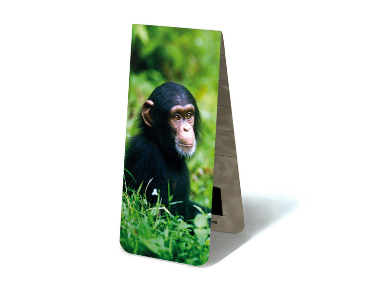 Magnetisches Lesezeichen, Schimpansenbaby