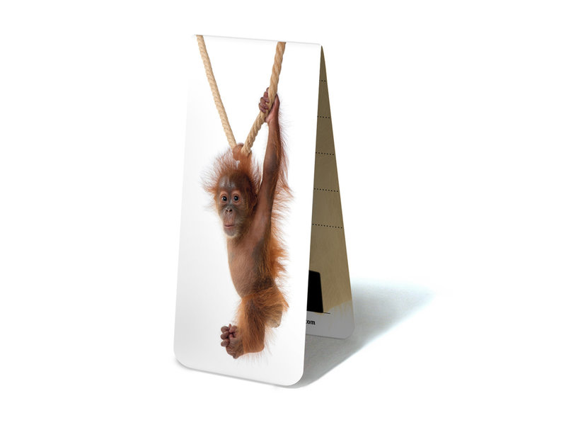 Marcador magnético, bebé orangután
