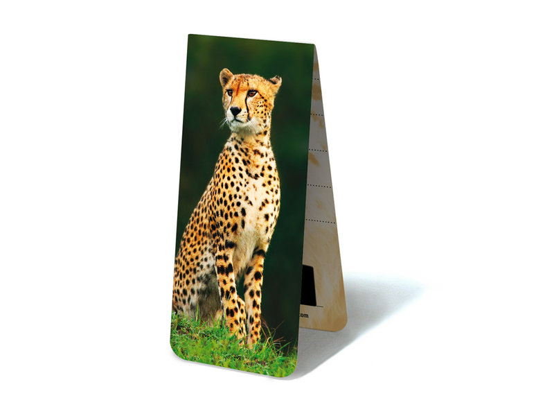 Magnetische Boekenlegger, Cheeta