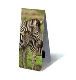 Magnetic Bookmark, Zebra with calf