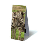 Magnetische Boekenlegger, Zebra met kalfje