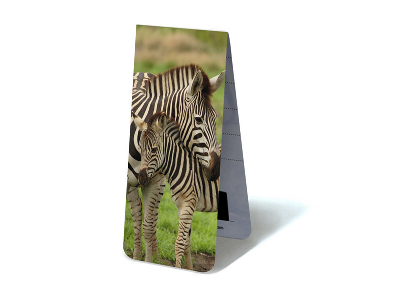 Magnetic Bookmark, Zebra with calf