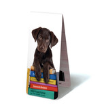 Marcapaginas magnético, cachorro, perro en libros