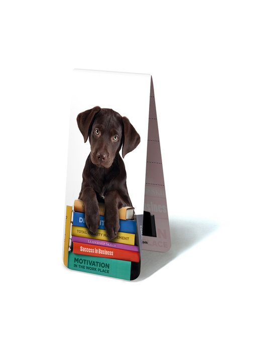 Magnetic Bookmark, Puppy on books