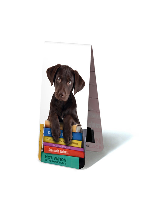 Magnetisches Lesezeichen, Welpe, Hund auf Büchern