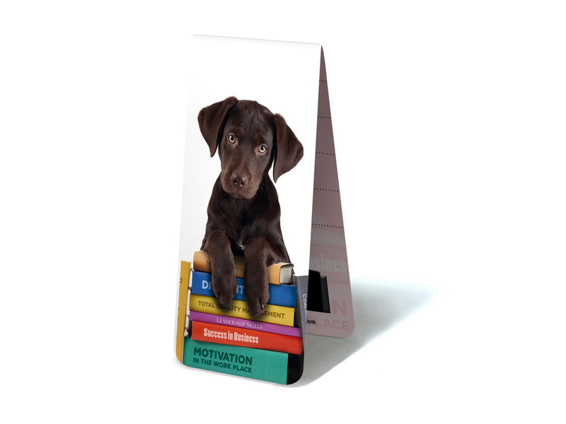 Magnetic Bookmark, Puppy on books