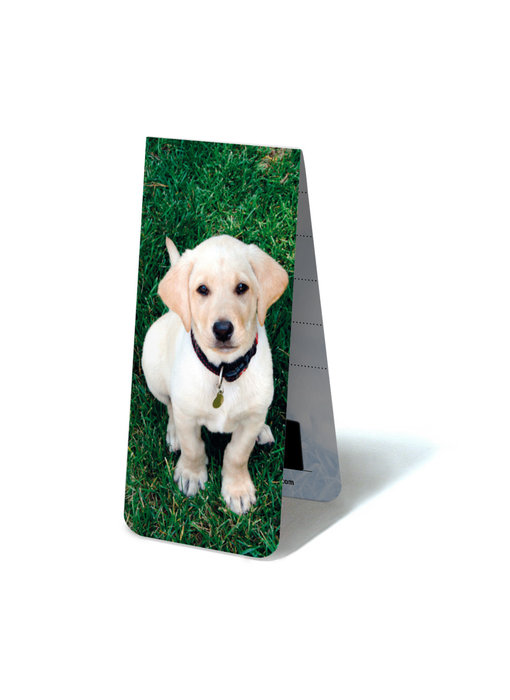 Magnetic Bookmark, Labrador Puppy