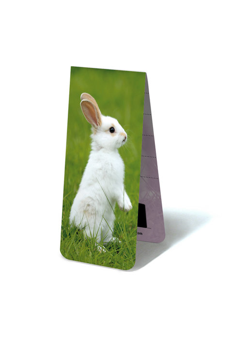 Marcador magnético, pequeño conejo blanco