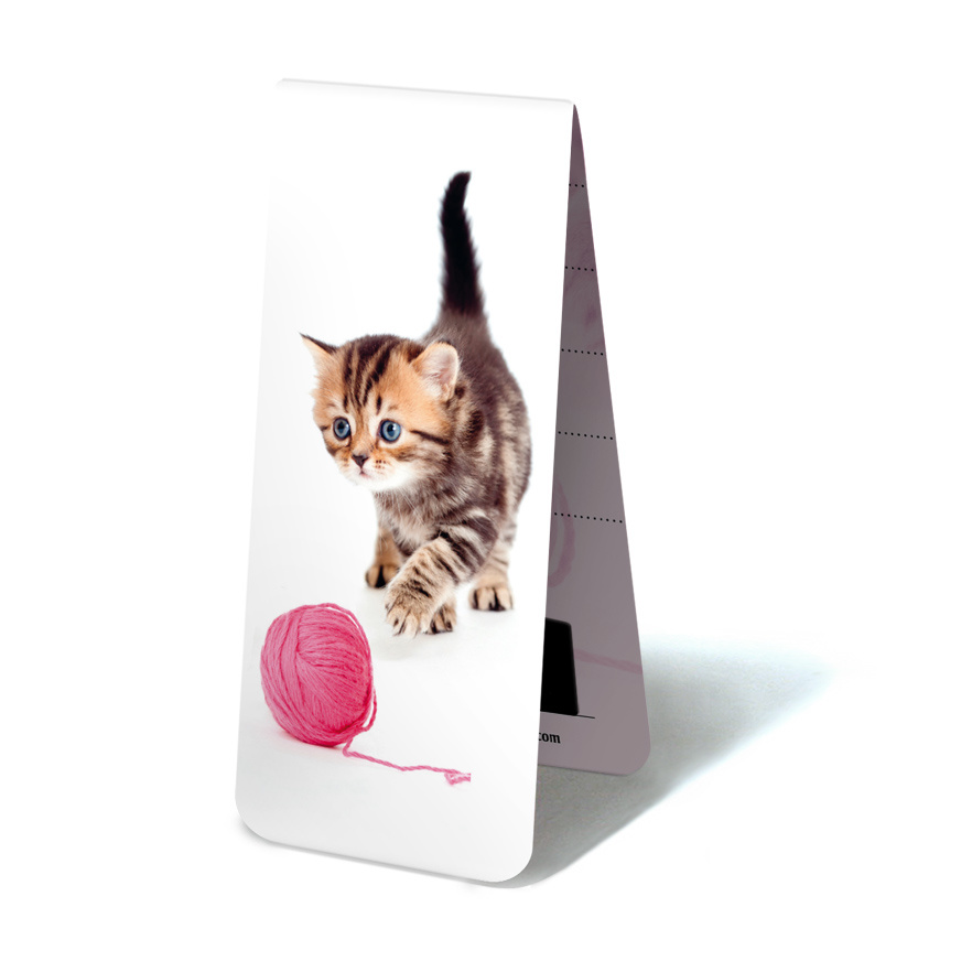 Aimant pour réfrigérateur, petit chat dans l'herbe - Museum-webshop