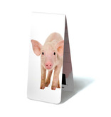 Magnetic Bookmark, Piggy