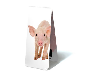 Magnetic Bookmark, Piggy