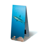 Magnetic Bookmark, Shark