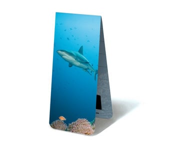 Magnetic Bookmark, Shark