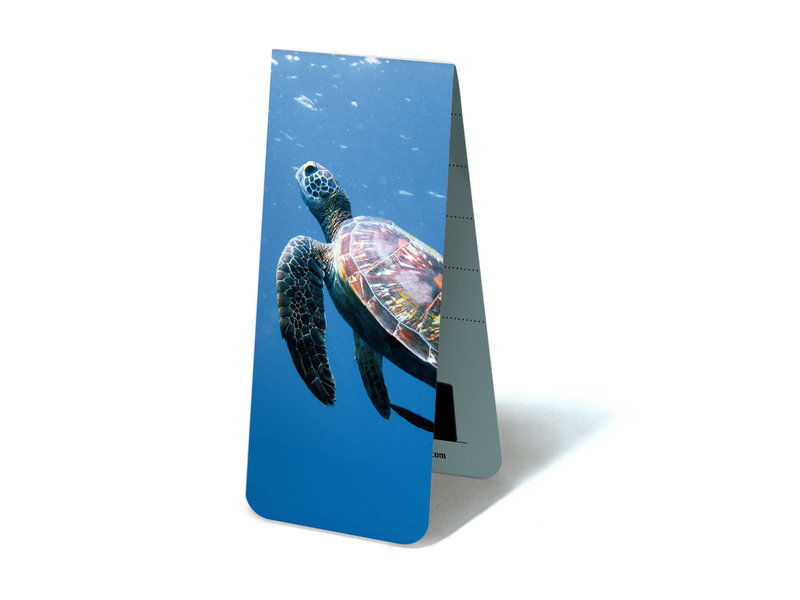 Magnetische Boekenlegger, Schildpad