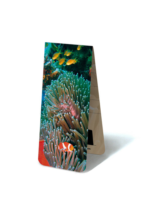 Magnetic Bookmark, Clownfish, tropical sea
