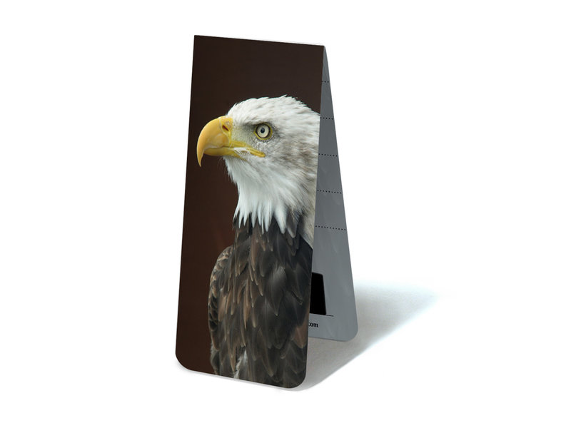 Magnetic Bookmark, Bald Eagle