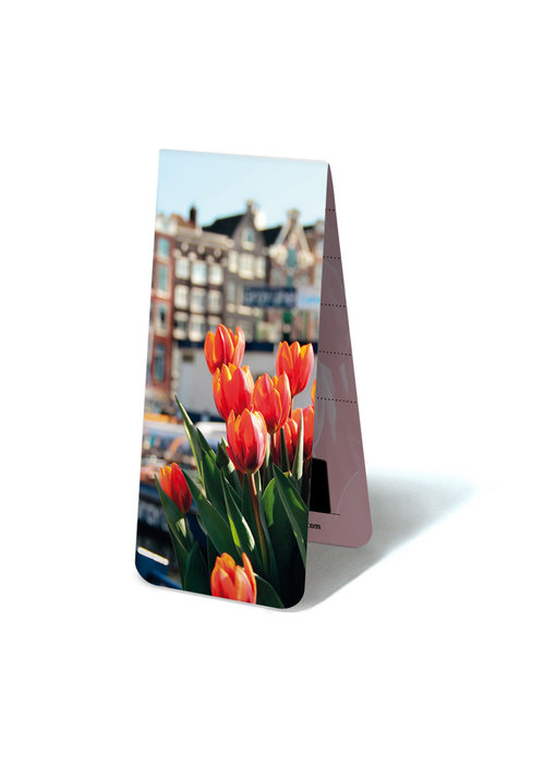 Magnetische Boekenlegger, Tulpen in Amsterdam
