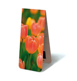 Magnetisches Lesezeichen, Tulpen Hellorange