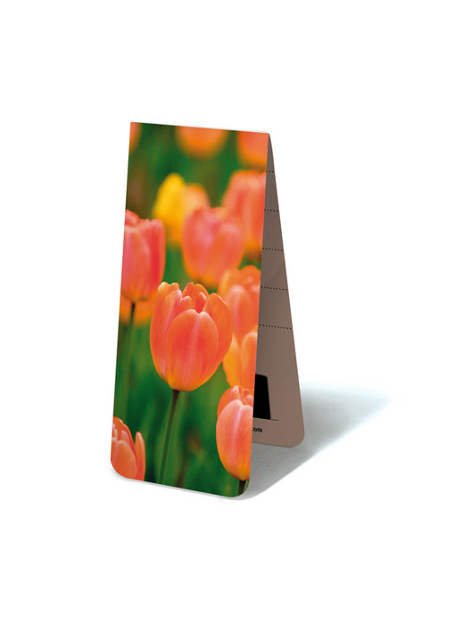 Marque-page magnétique, Tulipes Orange clair