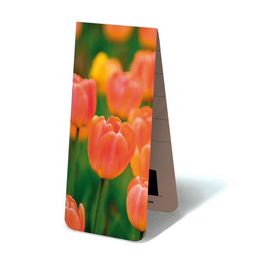 Magnetische Boekenlegger, Tulpen Licht oranje - Museum-Webshop
