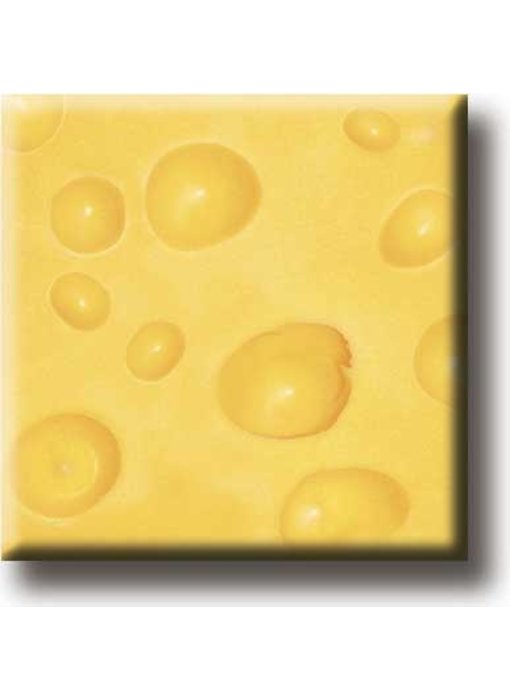 Aimant pour réfrigérateur, Gouda Cheese