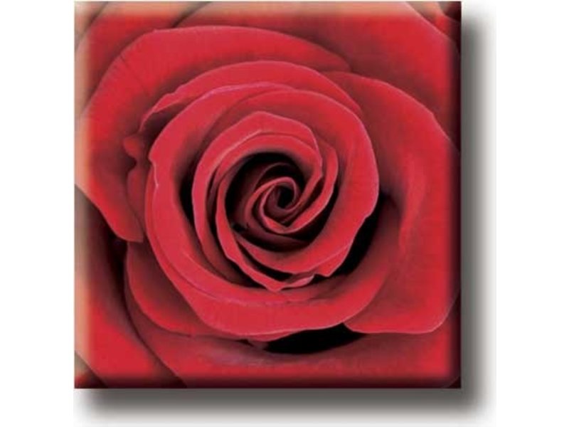 Kühlschrankmagnet, rote Rose