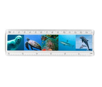 Ruler, Sealife animals