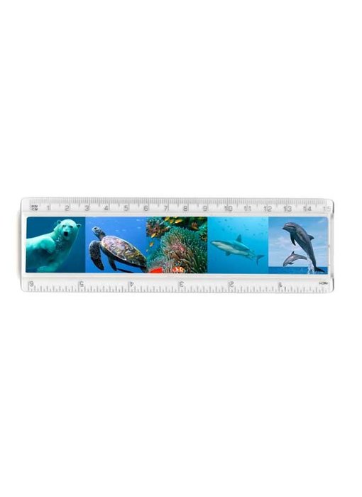 Ruler, Sealife animals