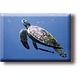 Kühlschrankmagnet, Schildkröte