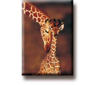 Fridge Magnet, Giraffe