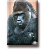 Fridge magnet, Gorilla