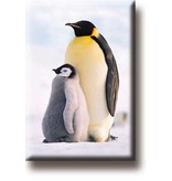 Fridge Magnet, Penguins