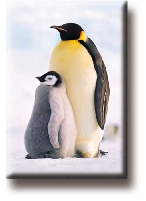 Imán de nevera, pingüinos