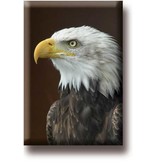 Fridge Magnet, Eagle